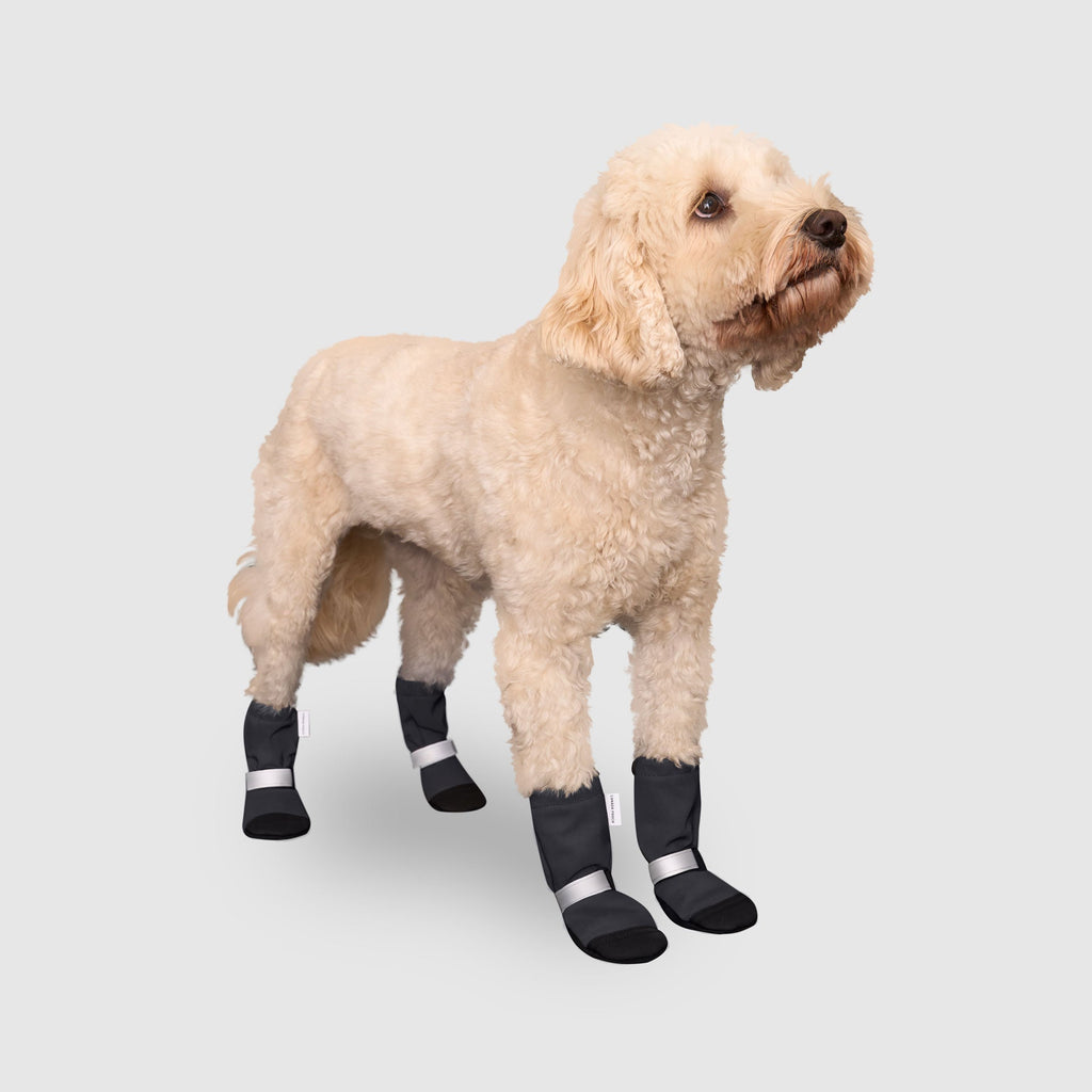 Soft Shield Boots
