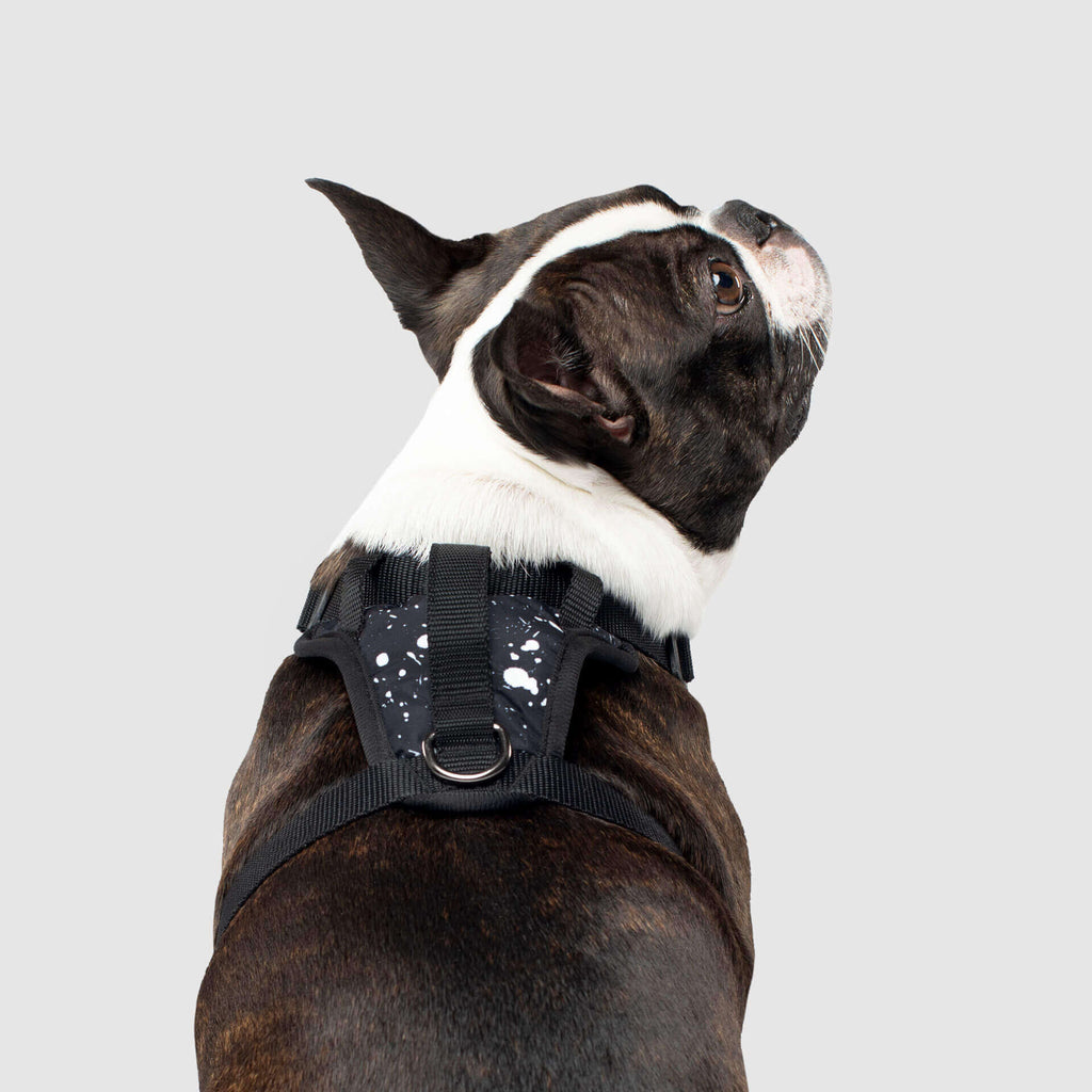 The Everything Harness Water-Resistant Series