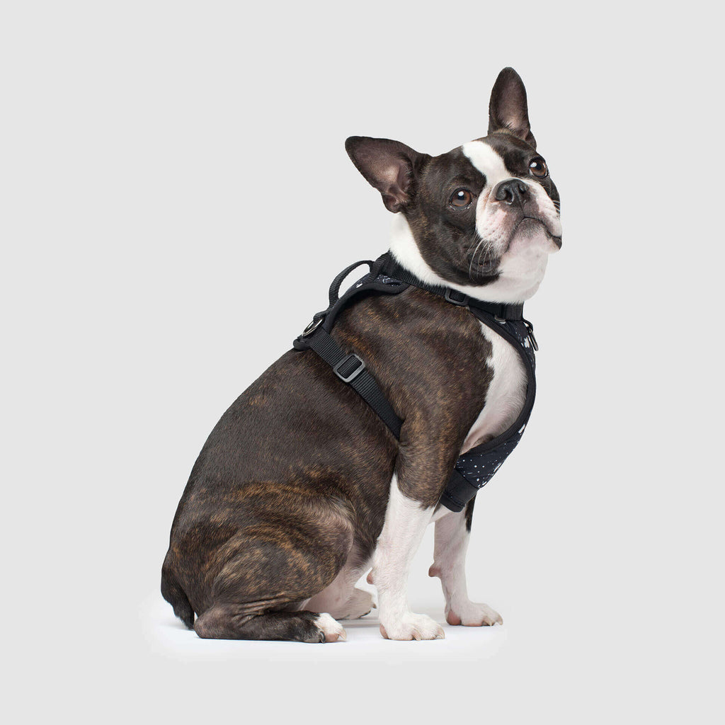 The Everything Harness Water-Resistant Series