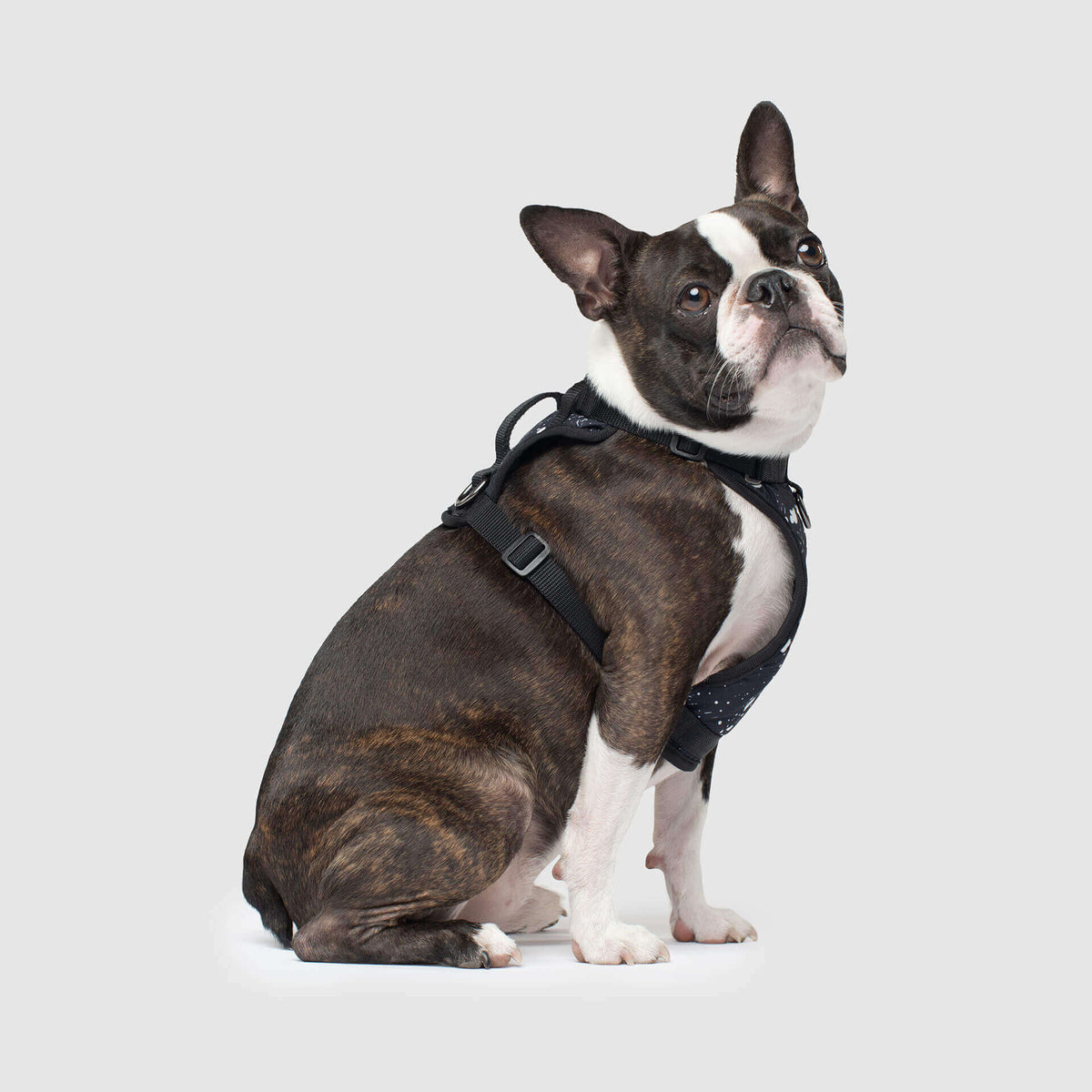 The Everything Harness Water-Resistant Series