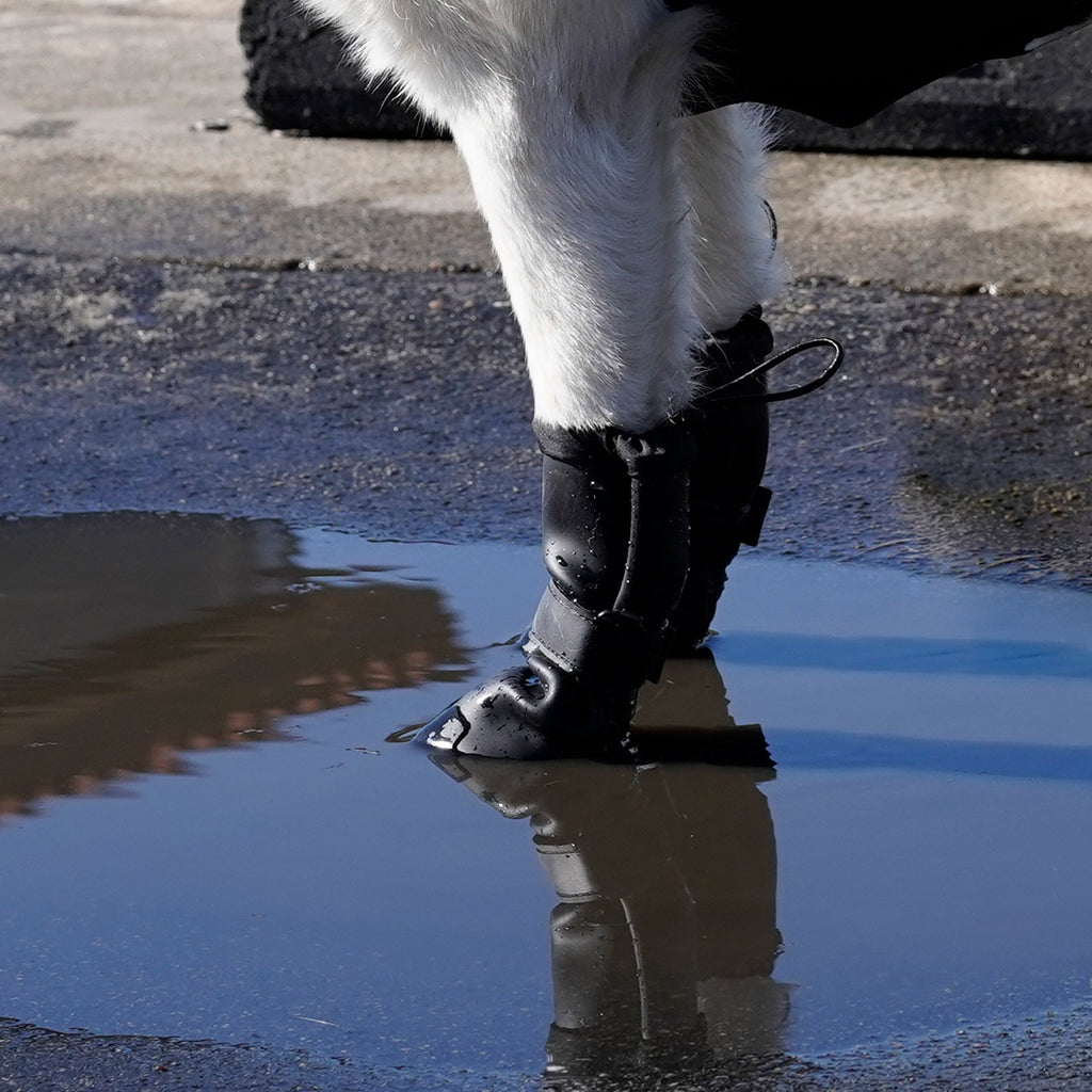 Waterproof Rain Boots