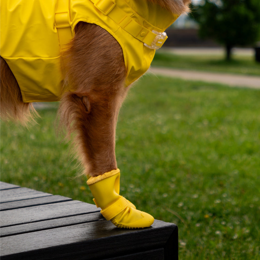 Waterproof Rain Boots