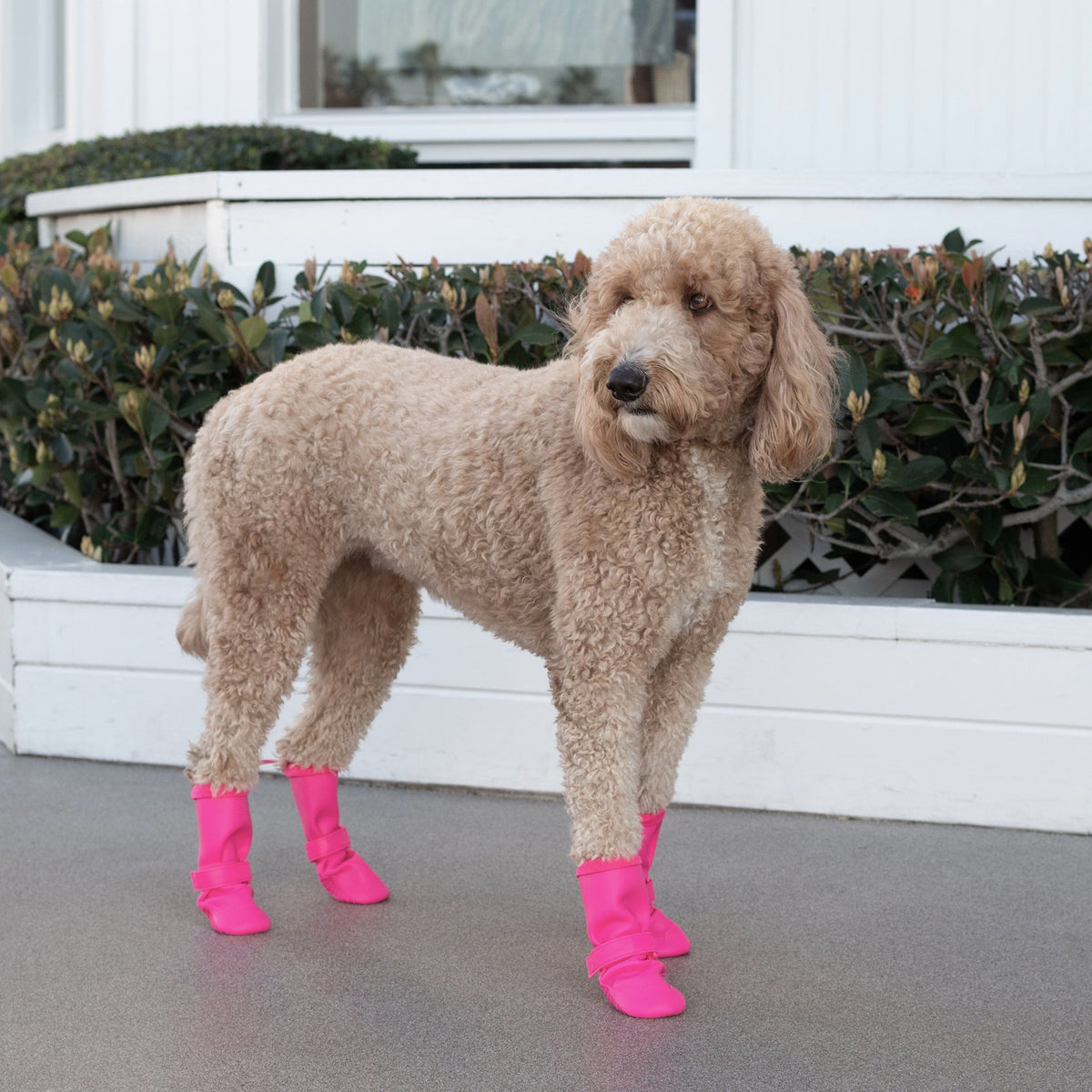Waterproof Rain Boots