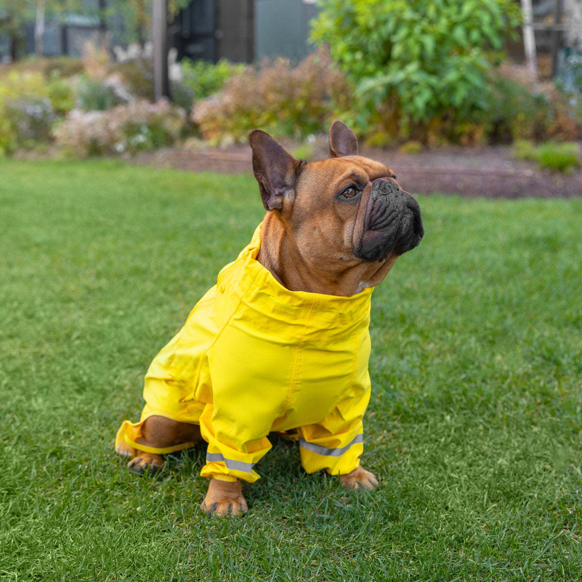 Waterproof Raincoat