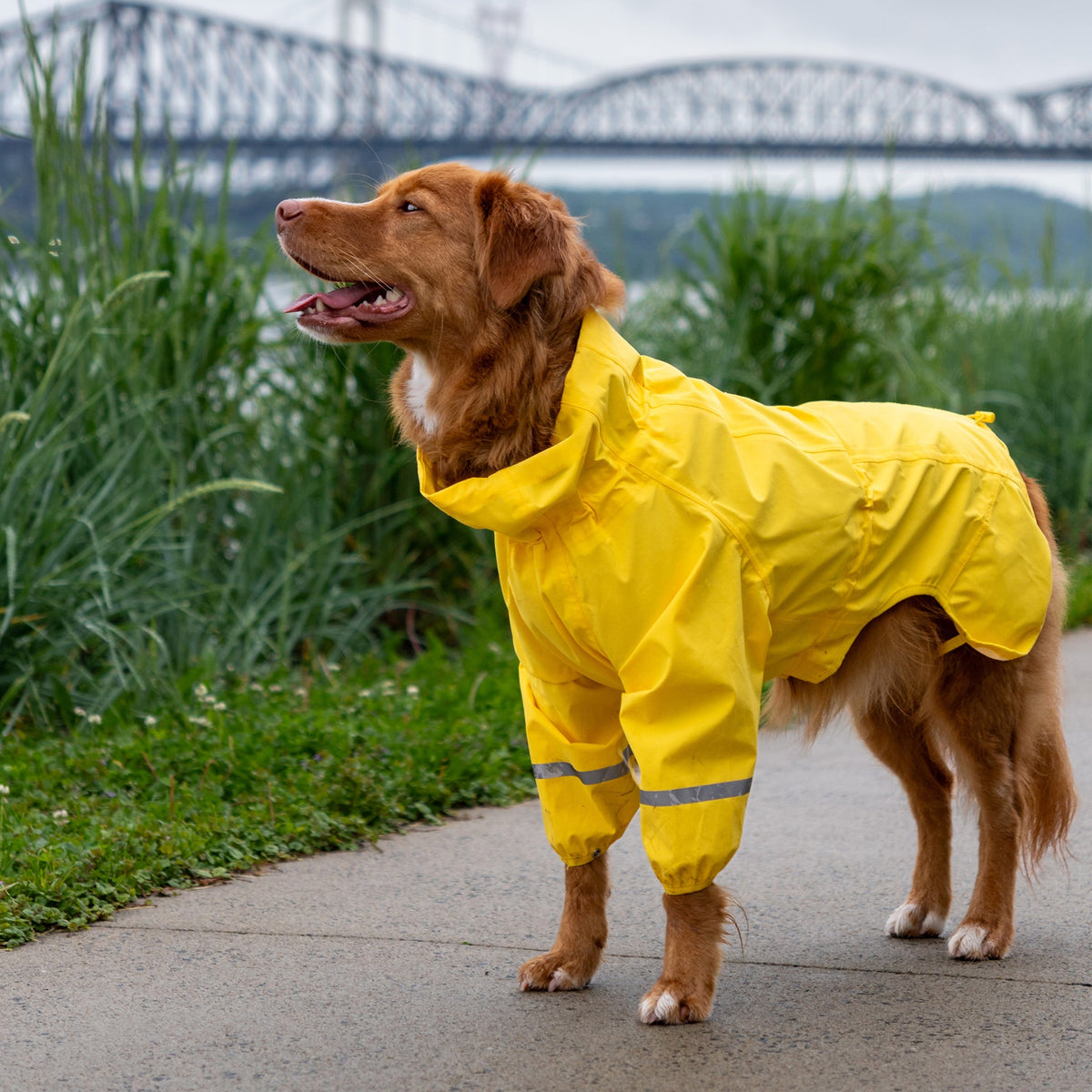 Waterproof Raincoat