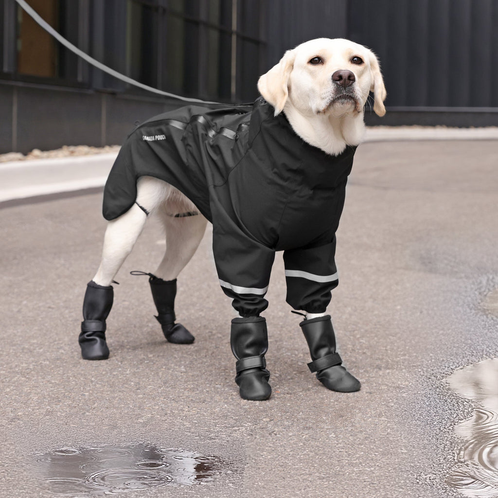Waterproof Raincoat