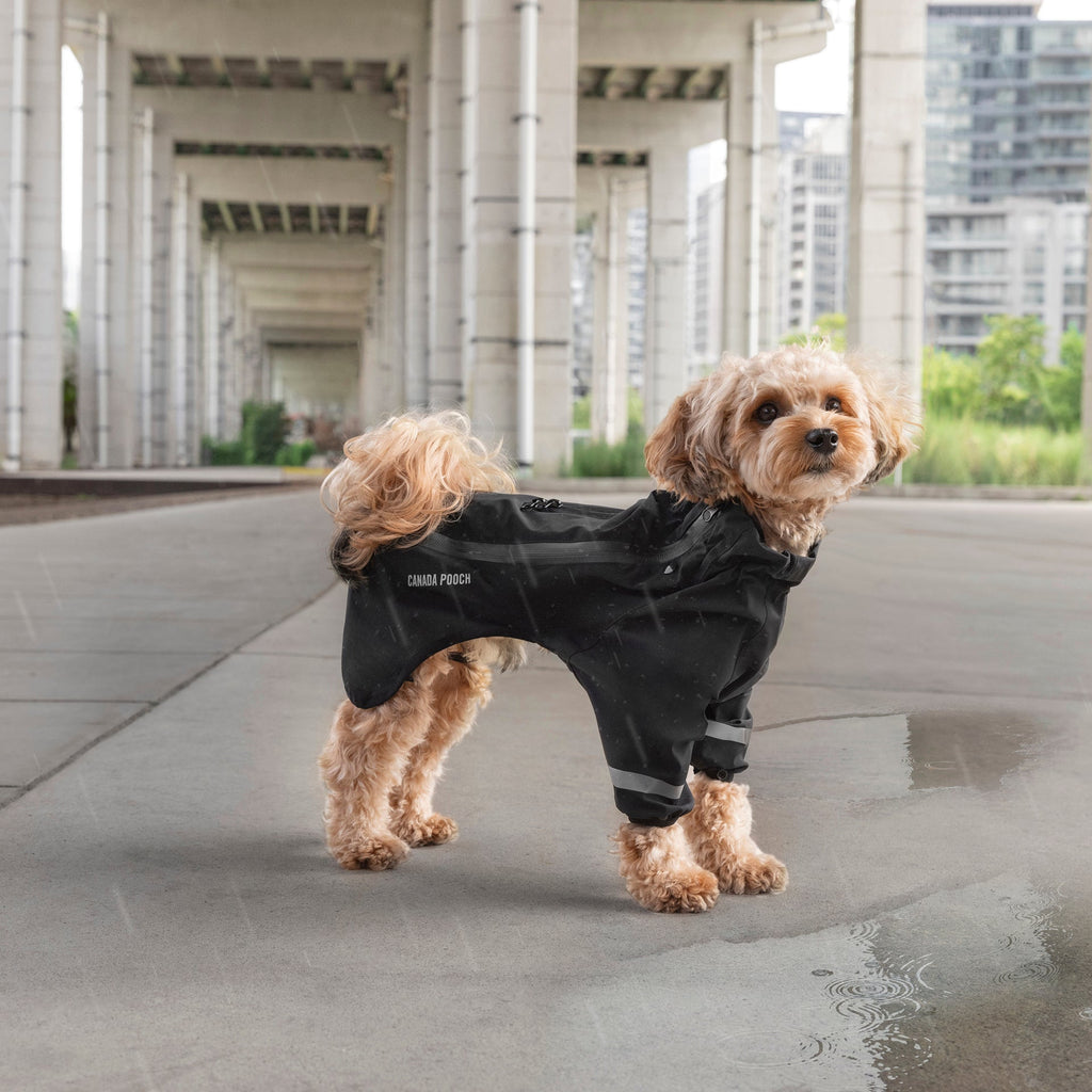 Waterproof Raincoat