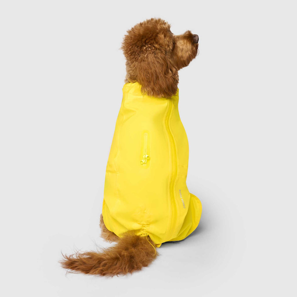Waterproof Raincoat