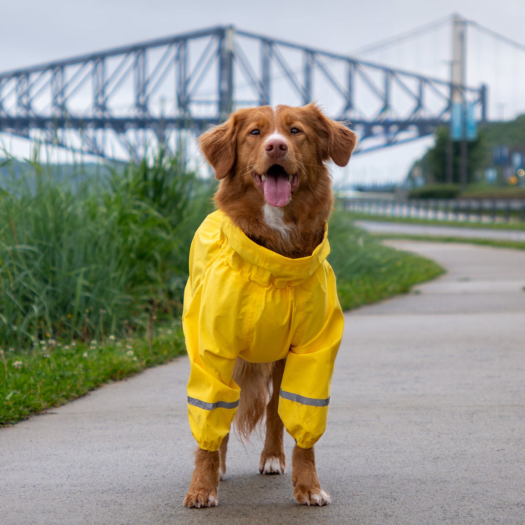Waterproof Raincoat