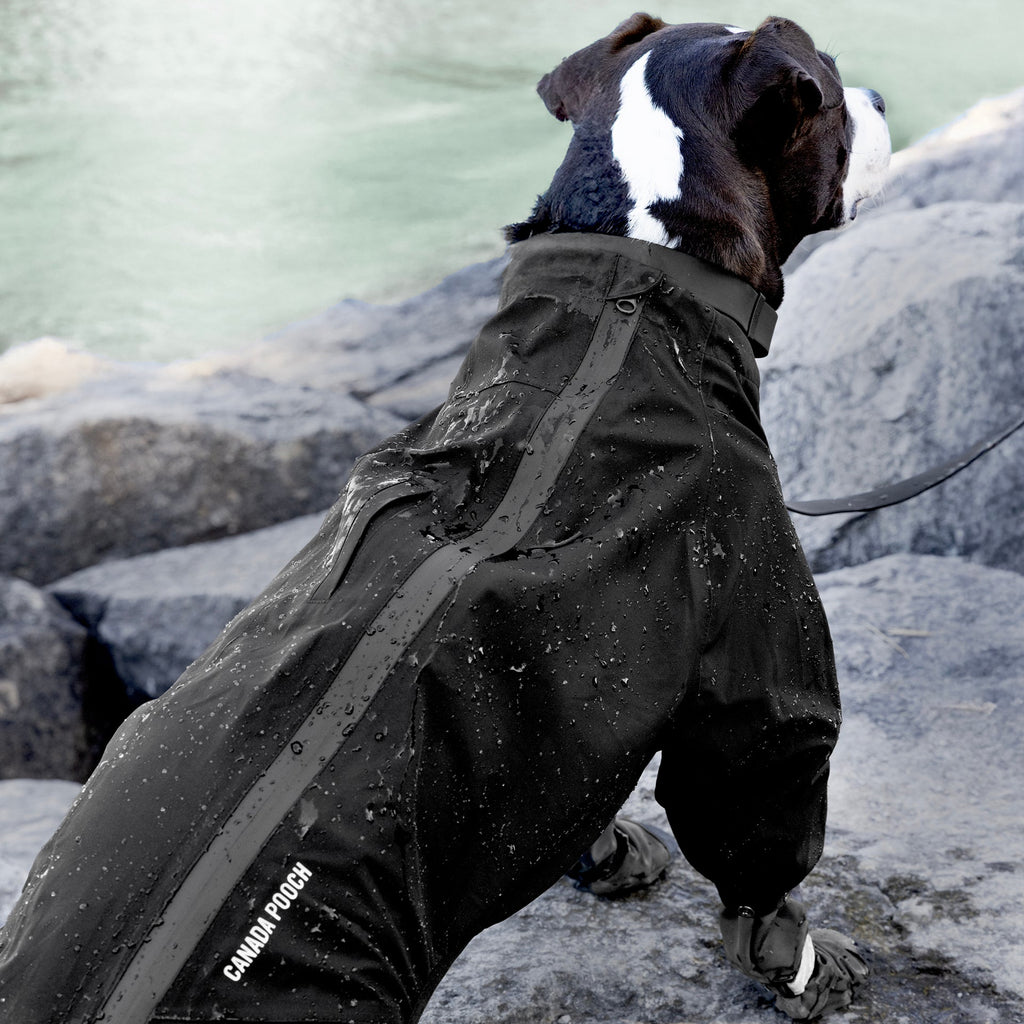 Waterproof Slush Suit