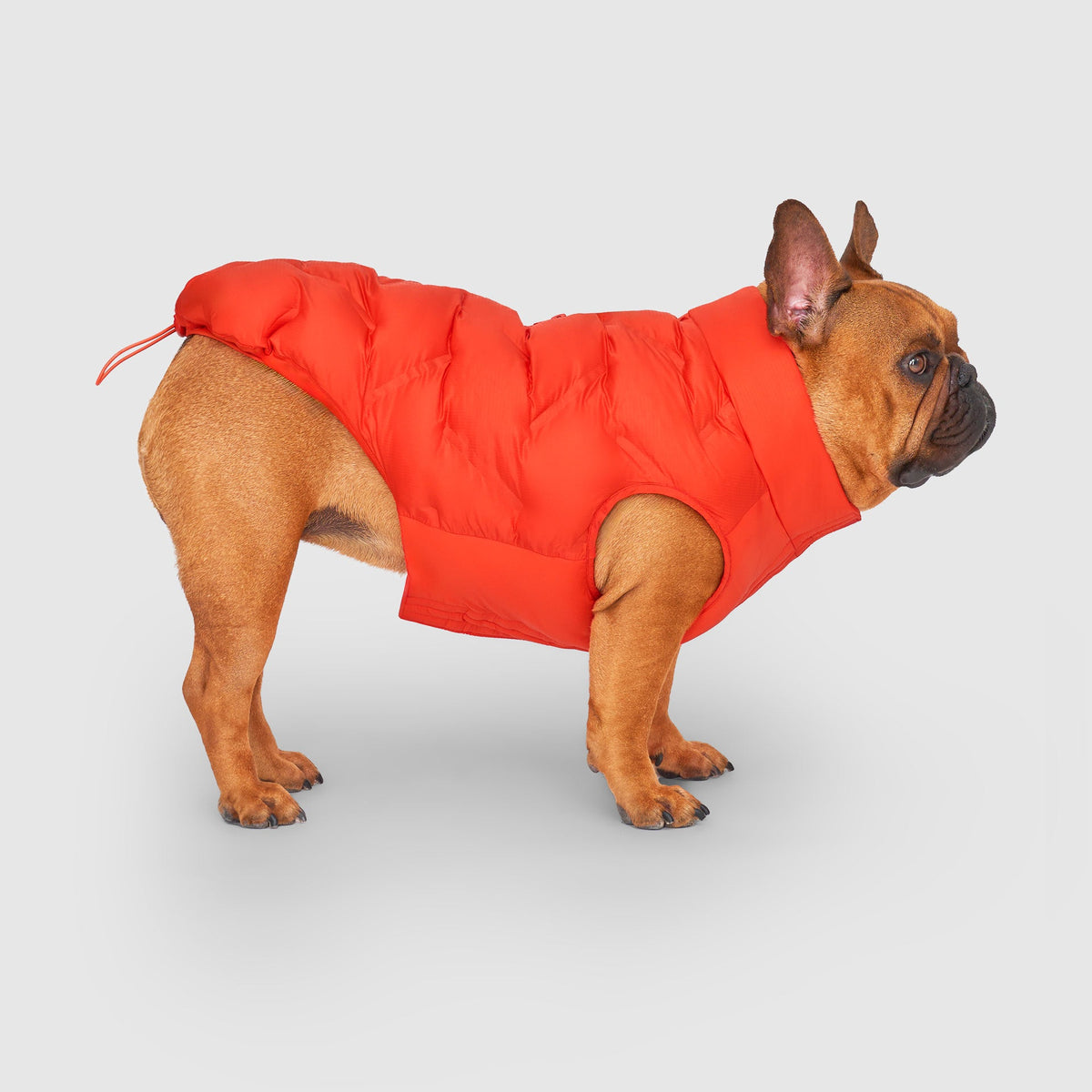 Waterproof Sport Puffer