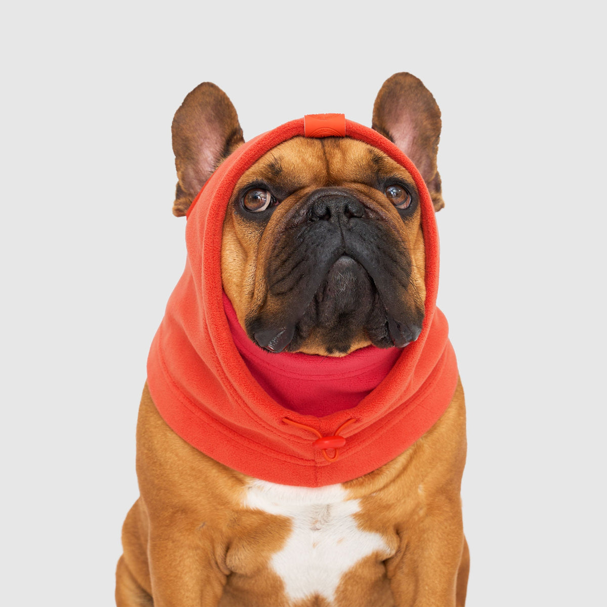 Weather-Resistant Fleece Balaclava
