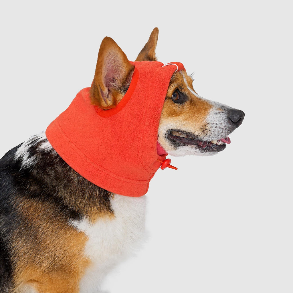 Weather-Resistant Fleece Balaclava