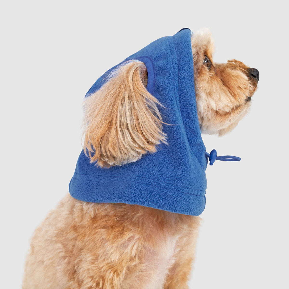 Weather-Resistant Fleece Balaclava